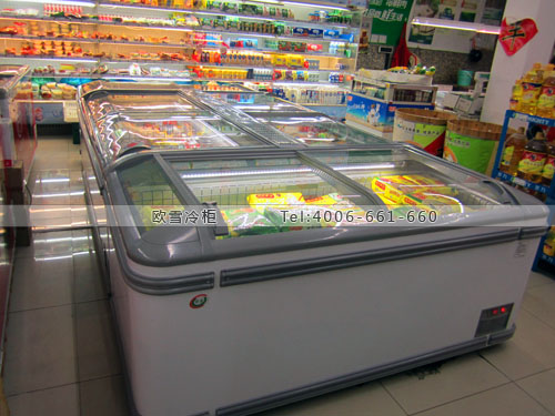 B624上海市徐匯區(qū)華聯(lián)超市臥式冷凍展示柜