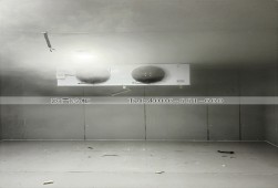 冷凍冷庫-長沙70立方的食品冷凍冷庫安裝